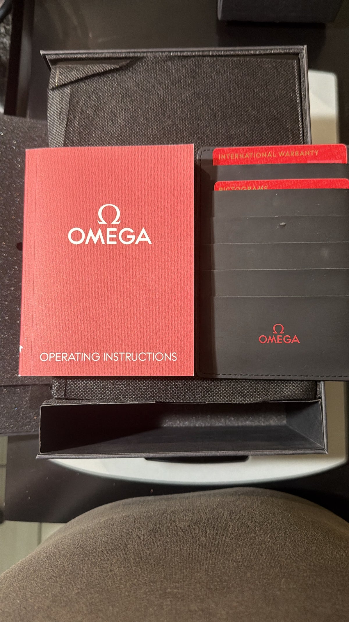 Omega Speedmaster Grey Side of the Moon "Meteorite"