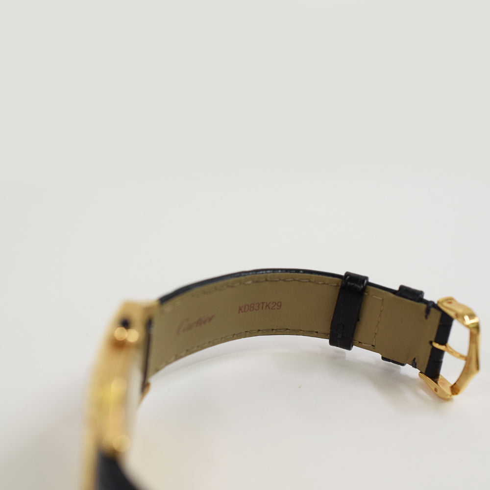 Cartier Santos-Dumont Large Yellow Gold WGSA0077 – Black Roman Dial