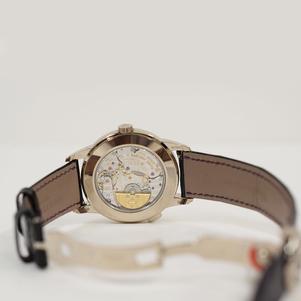 Patek Philippe World Time Date 40mm 5330G-010 – Purple Dial