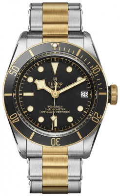 Tudor Black Bay S&G (M79733N-0008)