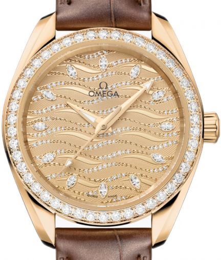 Omega Seamaster Aqua Terra (220.58.34.20.99.008)