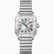 CARTIER Santos de Cartier (WSSA0082)