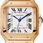 CARTIER Santos de Cartier (WGSA0031)